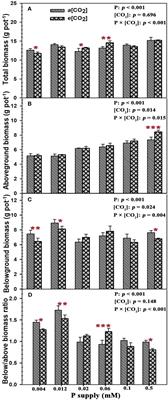 Effects of elevated carbon dioxide on plant growth and leaf photosynthesis of annual ryegrass along a phosphorus deficiency gradient